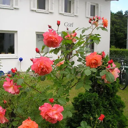 Villa Anna Zinnowitz Exterior photo